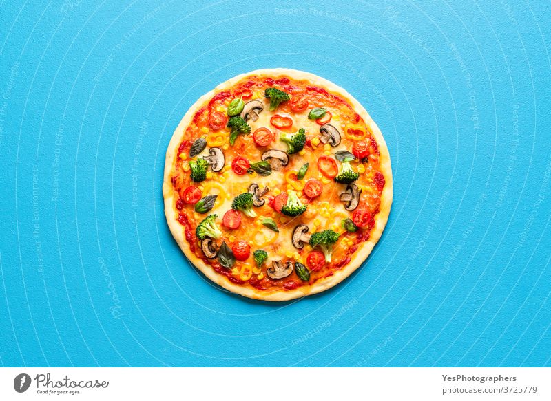 Pizza primavera auf einem blauen Tisch, Draufsicht. Vegetarische Pizza isoliert auf einem farbigen Hintergrund. obere Ansicht gebacken Basilikum Brokkoli