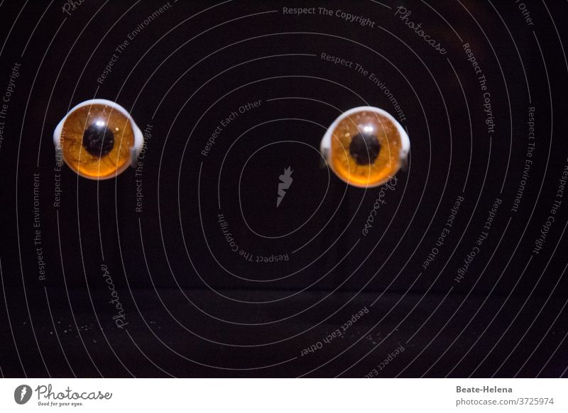 Der Augenblick: zwei braune Augen vor schwarzem Hintergrund Iris Pupille Blick geheimnisvoll Nahaufnahme Detailaufnahme Sehvermögen Attrappe Attraktion Farbfoto