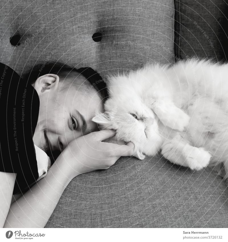 Junge mit weißer Katze Kindheit Liebe Haustier Freundschaft liebevoll