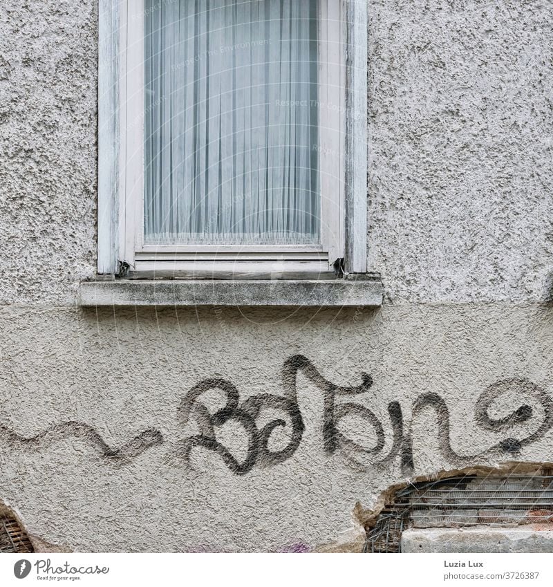 Ein schmales Fenster mit einer weißen Gardine, dazu eine schäbige Fassade und Graffiti baufällig Vorhang alt Fenstersims Menschenleer Farbfoto Haus