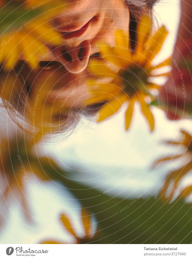 Gesicht betrachtet aus der Froschperspektive die gelben Blumen im Vordergrund pflücken betrachten golden Nase Natur Garten Kopf