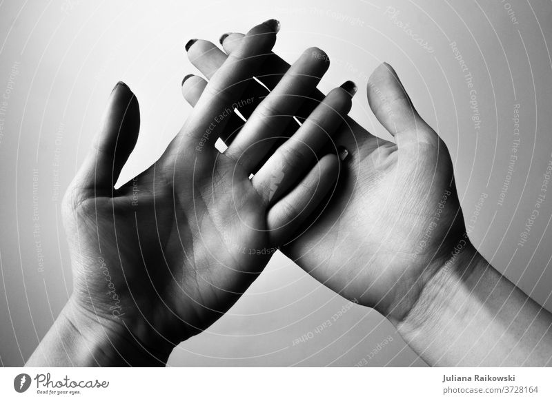 geöffnete Hände in schwarz-weiß Frau Hand Finger Mensch Detailaufnahme Vertrauen Nahaufnahme berühren Freundschaft Sympathie Erwachsene festhalten feminin