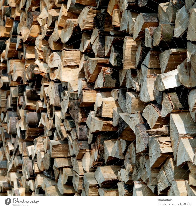 Stapelholz Holz Holzstapel aufgeschichtet Kanten Licht Schatten Brennholz Forstwirtschaft Baum Natur Brennstoff