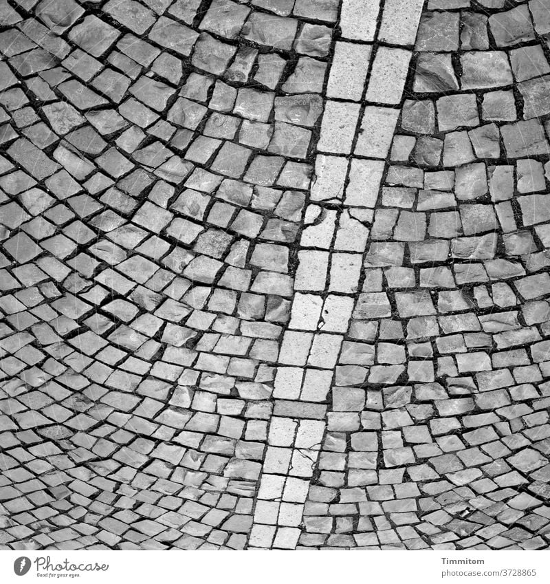 Platz mit Pflastersteinen Steine Linie Fugen Wege & Pfade Strukturen & Formen Menschenleer grau Schwarzweißfoto