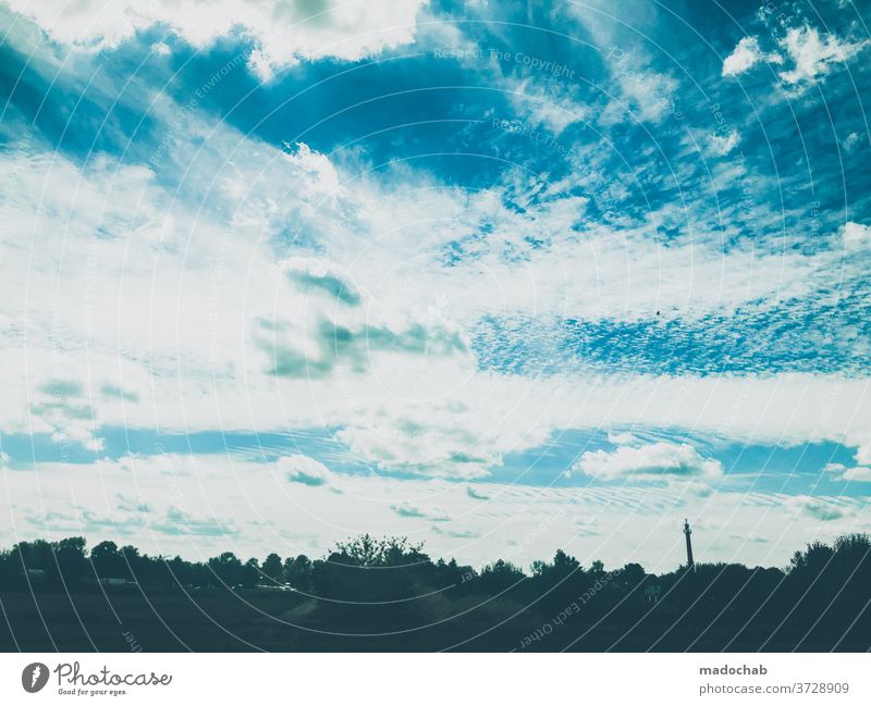 Wolken Landschaft Natur Himmel blau Sommer Schönes Wetter Außenaufnahme Umwelt Horizont Bäume