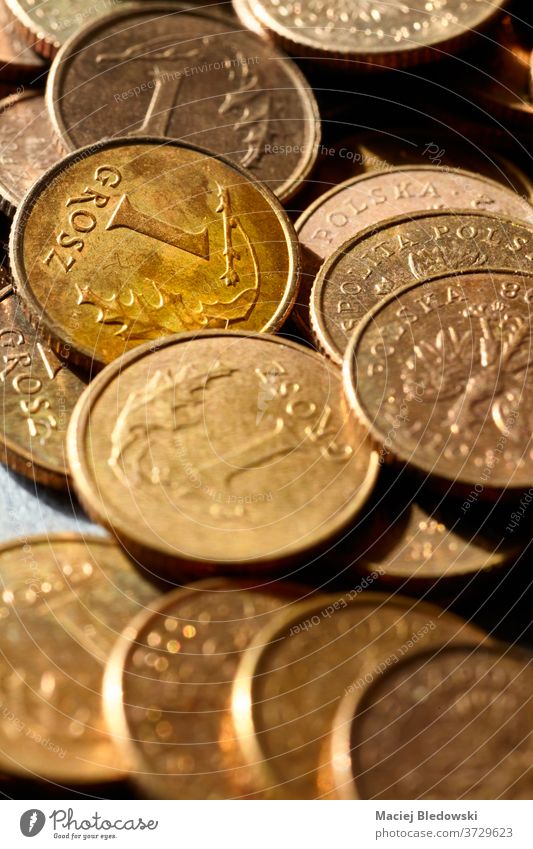 Nahaufnahme der polnischen Ein-Groschen-Münzen. gold Geldmünzen Währung grosz Zloty Bargeld viele abschließen kleine Änderung Foto Konzept Business Finanzen