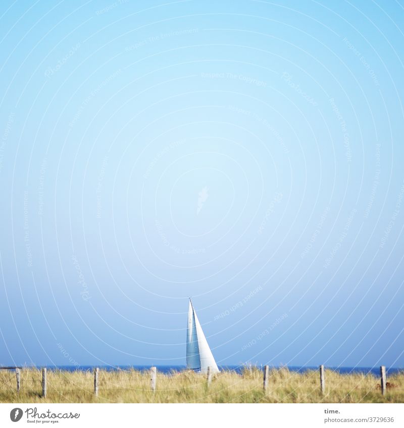 Geschichten vom Zaun (80) segelboot segeln ostsee dünengras zaun meer horizont himmel sonnig schönes wetter skurril verstecken perspektive sicht