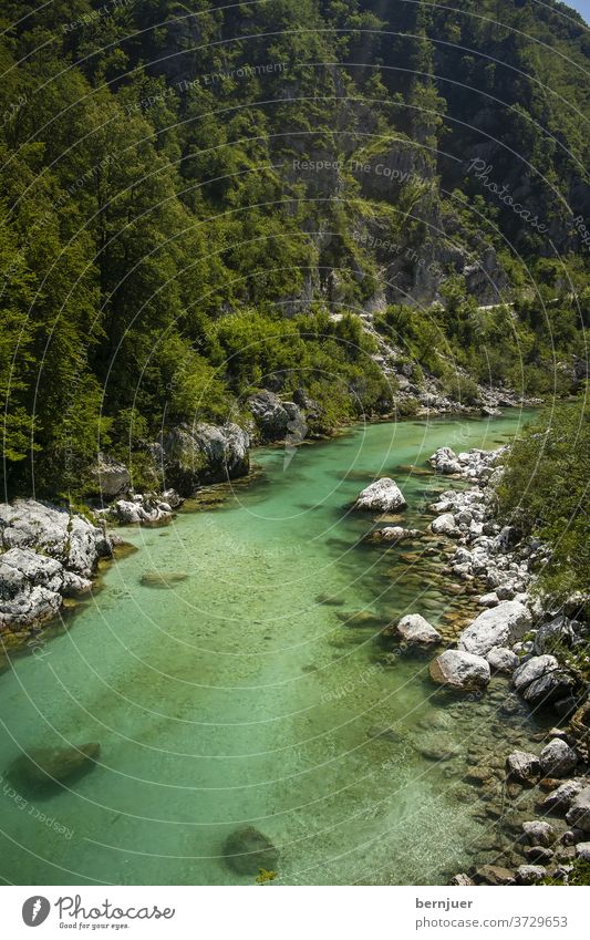 soca Fluss in Slowenien im Sommer Landschaft wild Schlucht im Freien Abenteuer fließend Wasser Grün Triglav Berg türkis alpenländisch Wald Reisen Rafting Natur