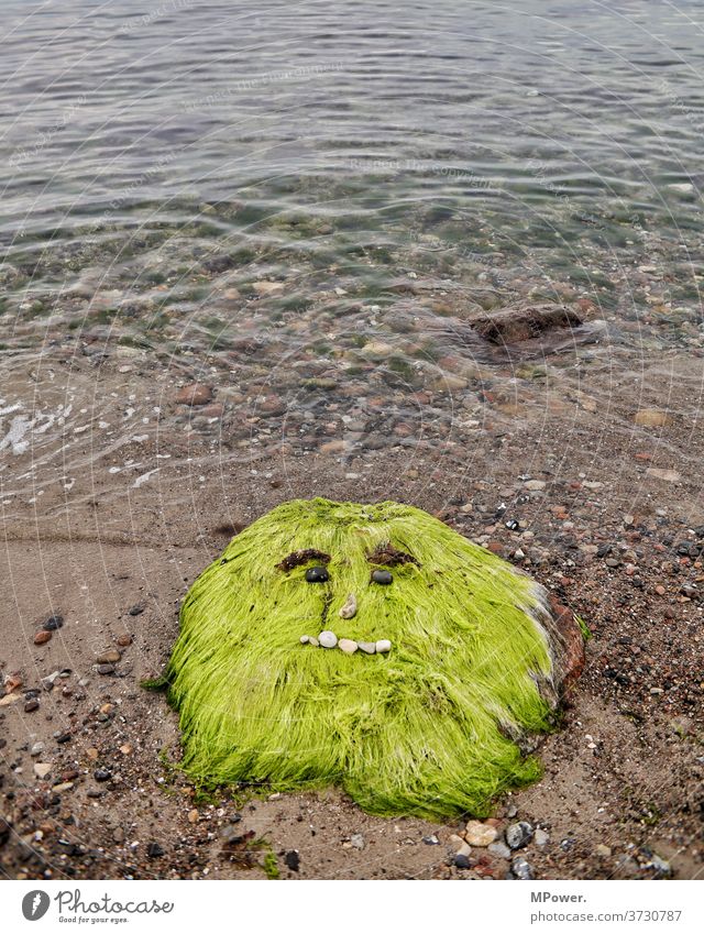 seemonster Meer Wellen algen gesicht ostsee wasser küste grün zottelig Yeti