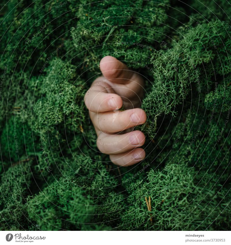 Die Hand aus dem Moos Islandmoos Landschaftsportrait grün kreative Portraits Kinderhand fühlen tasten Natur natürlich explorer Forscher Kindheit finger
