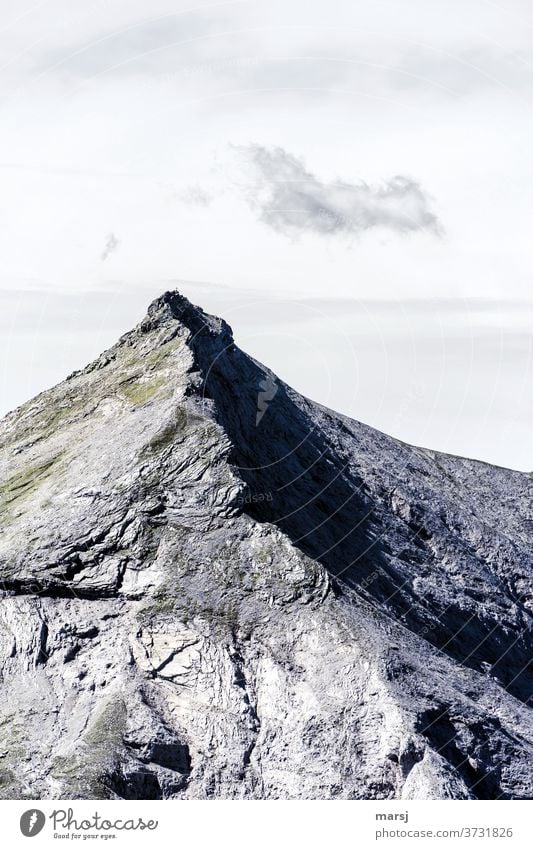 Steirische Kalkspitze mit kleiner Wolke Berggipfel Kalkalpen Kalkstein steil Spitze Ferien & Urlaub & Reisen Berge u. Gebirge Alpen Felsen Wolken Natur