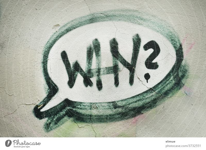 "WHY?" steht als Graffito in grün-schwarzer Schrift in der Sprechblase auf der grauen Wand why warum Jugendkultur Graffiti Fassade Schriftzeichen Schmiererei