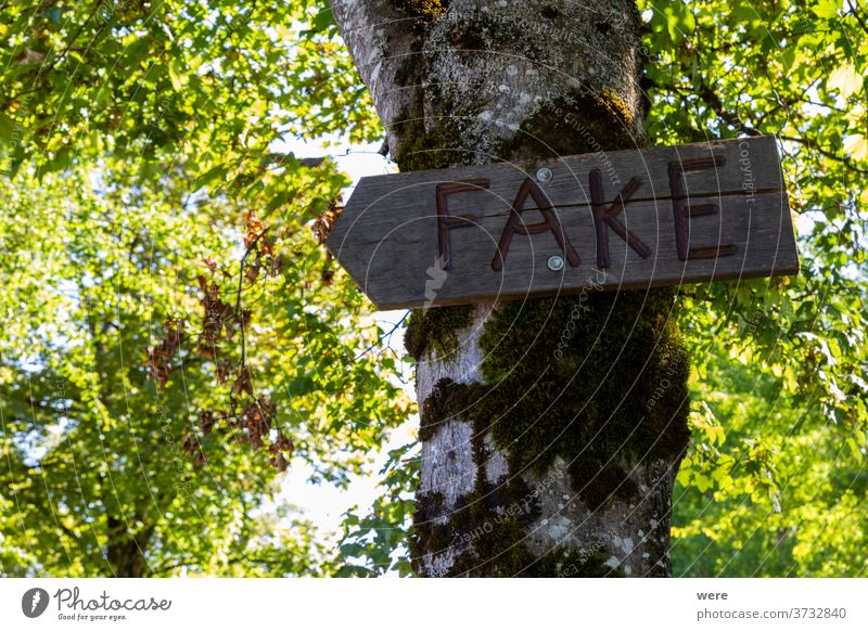Rustikaler Holzpfeil mit der Inschrift Fake auf einem Birkenstamm Fälschung Birkenblätter Bokeh Textfreiraum Täuschung lustig historisch Aufschrift Natur