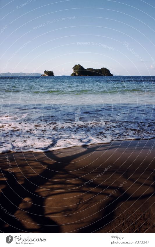 saltwater & shadows. Natur Landschaft Sand Himmel Sommer Baum Wellen Küste Strand Meer Ferien & Urlaub & Reisen Insel Traumstrand Neuseeland