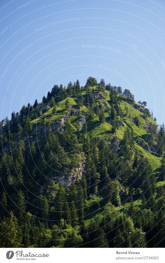Der Gipfel Schwangau Allgäu grün Berge u. Gebirge Alpen Bayern Baum Hügel Gras blau Himmel rund Felsen grau alpin wandern Bergsteigen Urlaub Sonnenlicht Tag