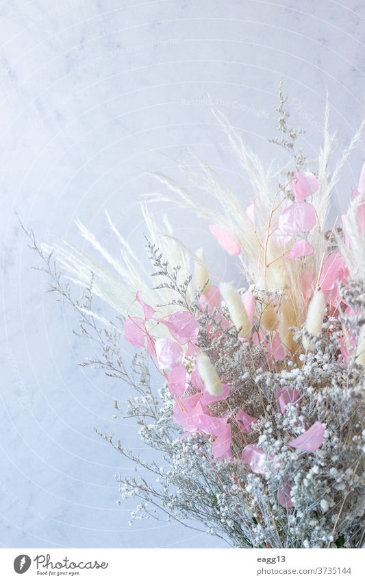 Strauß bunter, getrockneter weißer Blumen und rosa und weißer Ähren abstrakt gealtert Ordnung Schönheit Blumenstrauß Nahaufnahme farbig Farben dekorierend
