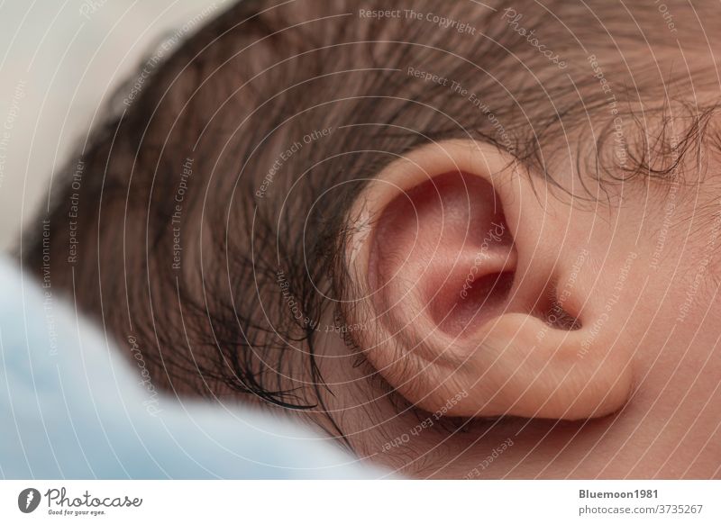 Nahaufnahme eines Neugeborenen, dessen Ohr friedlich im Bett schlief Baby Born neu neugeboren Junge schlafen Säugling niedlich Pflege Haut Detailaufnahme