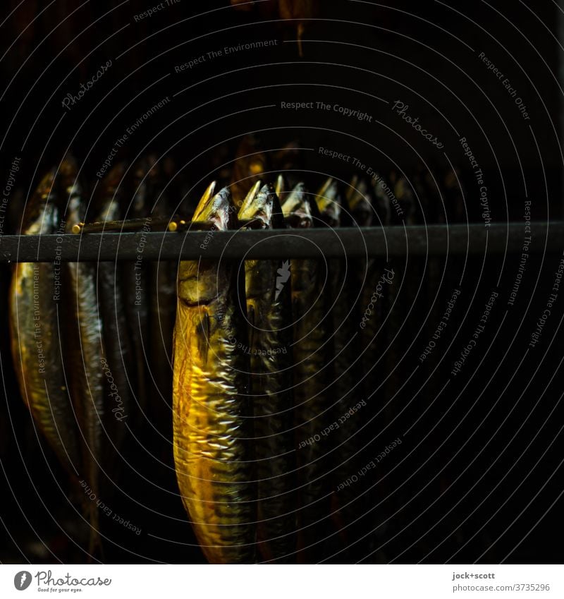 Räucherfische im Ofen Makrele Räucherofen Ernährung Fisch Lebensmittel geräuchert hängen Delikatesse Totes Tier konserviert Fischmarkt Low Key