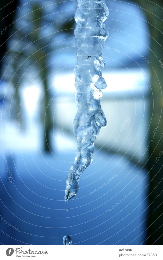 Dripping Icicle Eiszapfen Winter gefroren kalt Skulptur schmelzen Schnee Wassertropfen