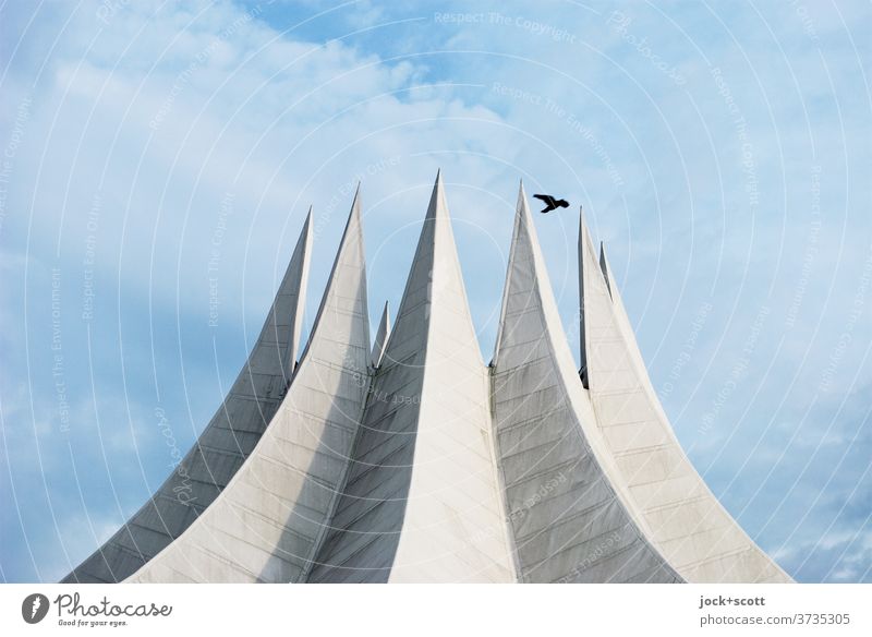 Dach wie ein Zirkuszelt Tempodrom außergewöhnlich Beton Bekanntheit Originalität modern Wolken Himmel Architektur Sehenswürdigkeit Vogelflug Bauwerk