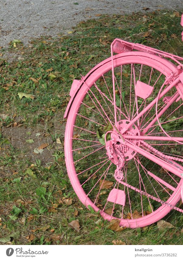 Pinker Drahtesel Fahrrad rosa Kreativität Verkehrsmittel Fahrradfahren Mobilität Außenaufnahme Tag Hinterreifen Speichen pink angemalt Freizeit & Hobby schräg