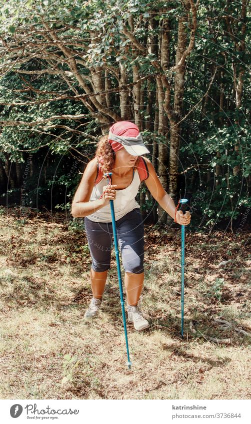Frauen wandern in den Bergen an einem sonnigen Tag Stöcke Sport Natur im Freien acivity Erholung Nachlauf Person Rucksack reisen Herausforderung anstrengen