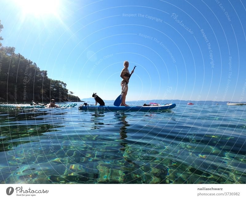 Paddeln mit dem Hund sportlich Sonnenlicht Tourismus Schwimmen & Baden Bewegung Freude Sport-Training Erwachsene Freiheit Erholung Farbfoto Lifestyle Abenteuer