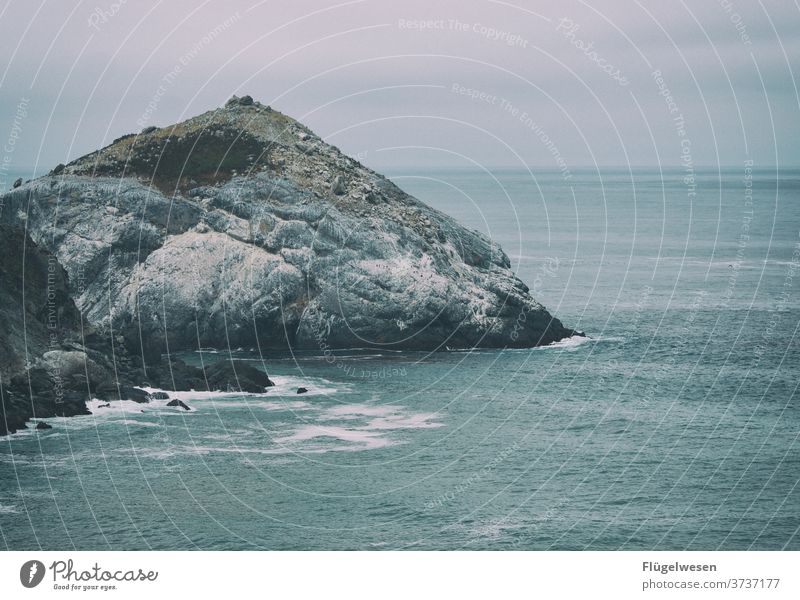 besetzte Insel Gesteinsformationen Berge u. Gebirge Meer Atlantik Westküste Amerika USA Strömung Robben Seehunde
