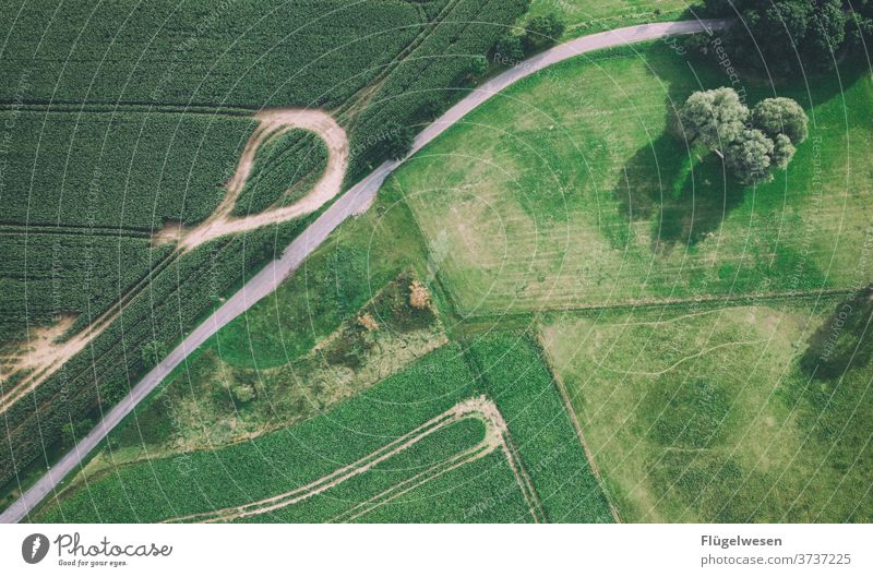 Viele Wege II Luftbild Drohnen Drohnenansicht Feld Ernte Wiese Rasen Wege & Pfade Kreuzung grün Vogelperspektive kurvenreich Straße Bäume Baum Acker