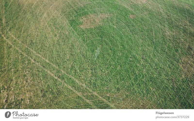 Spuren Luftbild Drohnen Drohnenansicht Feld Ernte Wiese Rasen Wege & Pfade Kreuzung grün Vogelperspektive kurvenreich