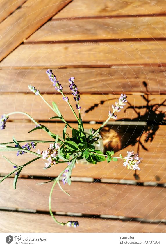 Kleiner Lavendel Strauß mit Schatten, Vogelperspektive schäbiger Chic alternativ Gartenarbeit Nahaufnahme Farbe Blüte violett Provence Sommer Blumenstrauß