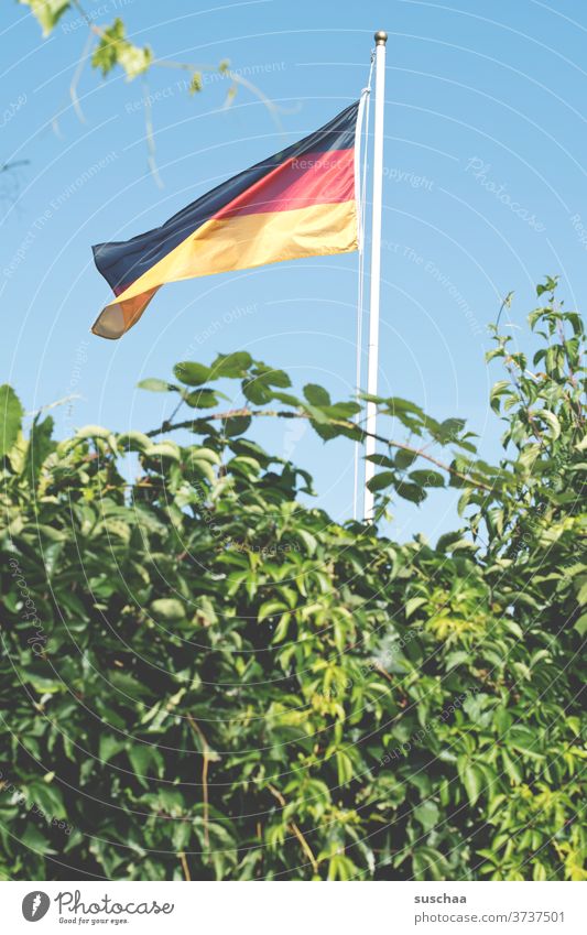 deutschlandfahne in einem schrebergarten Deutschlandfahne Fahne Deutsche Flagge Fahnenmast Patriotismus Wind Nationalflagge schwarz-rot-gold Garten
