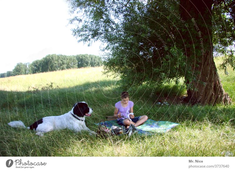 Picknick mit Hund Sommer Jugendliche Erholung Lifestyle Gras Natur grün Ferien & Urlaub & Reisen Ausflug Pause lernen Buch Bildung natürlich Wald Schönes Wetter
