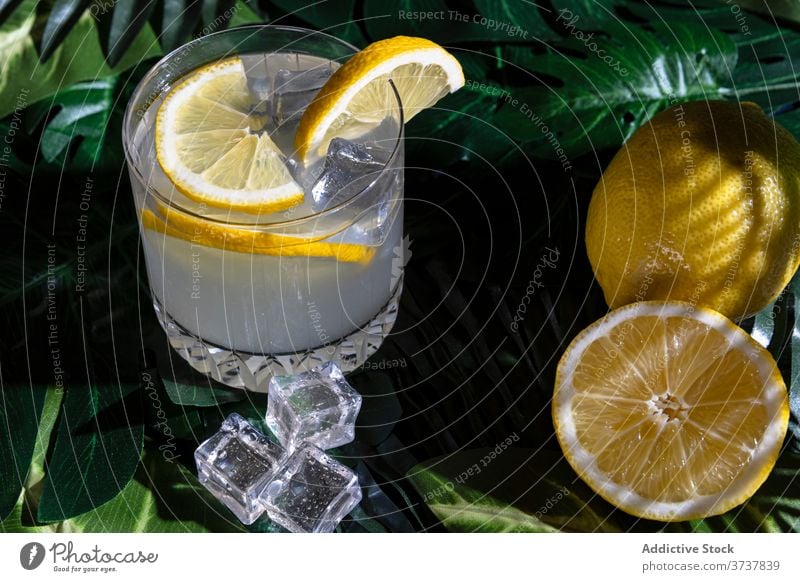 Glas Alkohol-Cocktail auf dem Tisch trinken Zitrone kalt Erfrischung Eis Würfel cool liquide Zitrusfrüchte Scheibe Bar Getränk Pub aktualisieren Frucht Saft