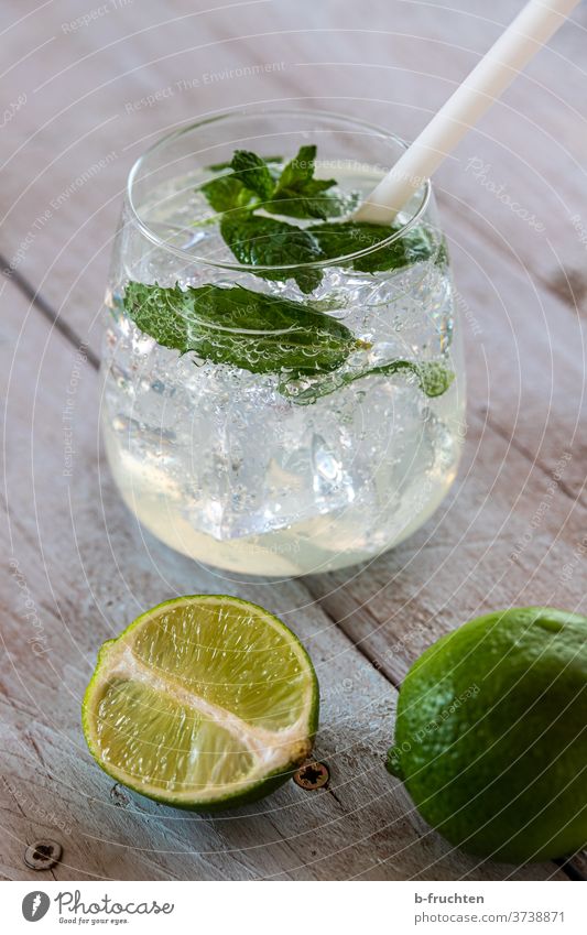 Lemon Soda Wasser Getränk trinken frisch Glas kalt Sommer Frucht Cocktail Alkohol Eis Minze Zitrusfrüchte Limonade Erfrischung Blatt Zitrone Eiswürfel Limette