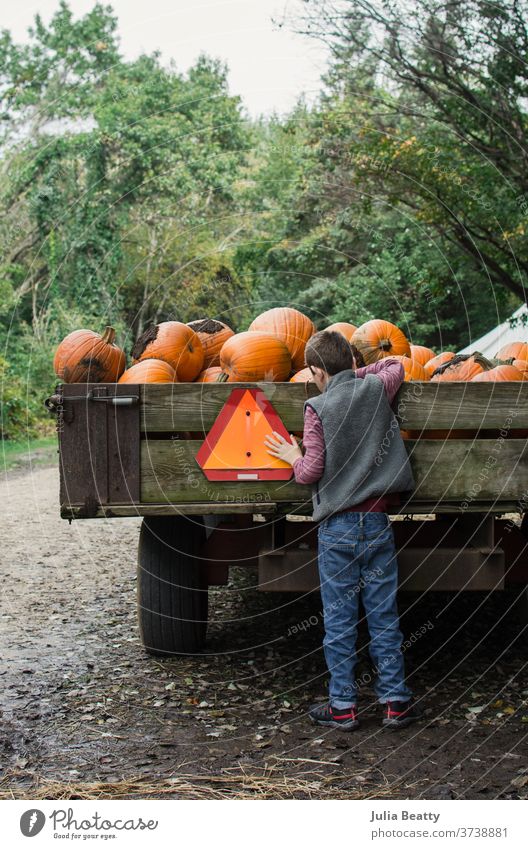 Junge mit einem Wagen voller Kürbisse fallen Herbst herbstlich Bauernhof Kürbispflaster Kürbisfarm Ackerbau Ernte rustikal