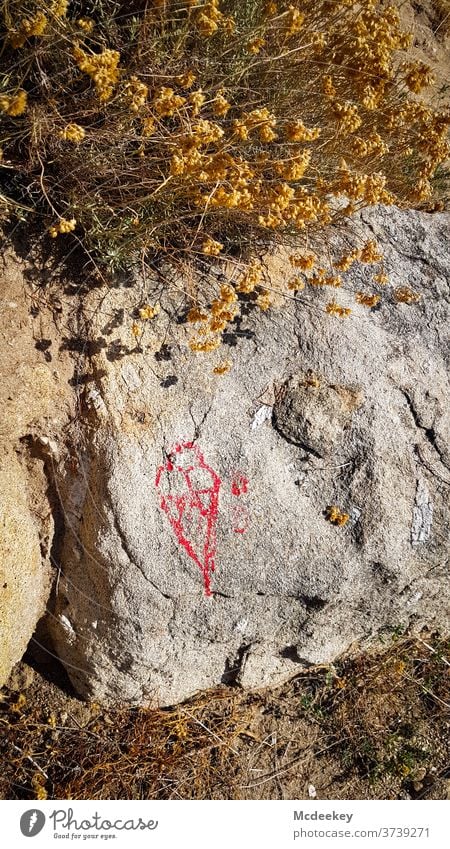 gezeichnetes Eis Eiswaffel Zeichnung Skizze Stein Elba Natur Naturschutzgebiet Naturfotografie naturfarben rot vertrocknet Blume Blüte Blumen Felsen Felsküste