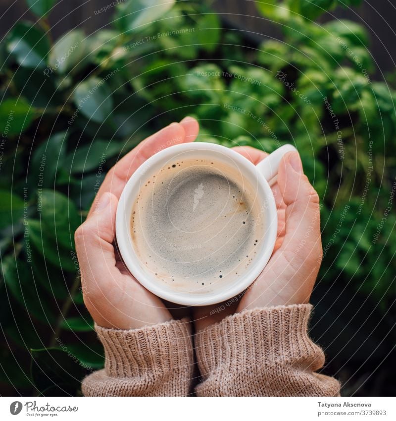 Tasse Kaffee in Händen mit Pflanzenhintergrund trinken warm Pullover gestrickt heiß Beteiligung Frau Frühstück Morgen Hand Getränk Koffein Becher schwarz