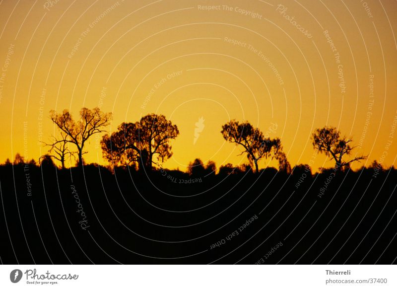 On the opposite of the Ayersrock (Uluru) Sonnenuntergang Australien Physik Abend Idylle Wärme