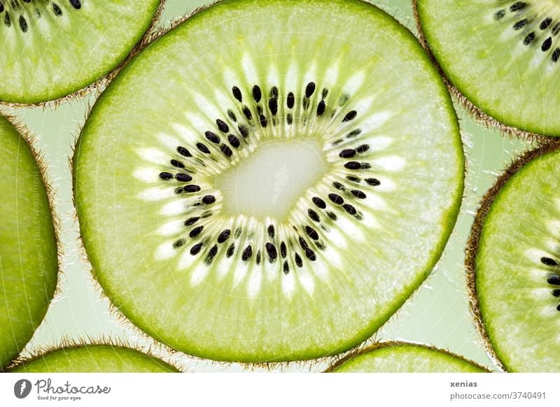 Makroaufnahme einer Kiwi Frucht Obst Beere Lebensmittel Bioprodukte Ernährung Vitamin Foodfotografie grün Leuchttisch fruchtig lecker Kerne durchleutet