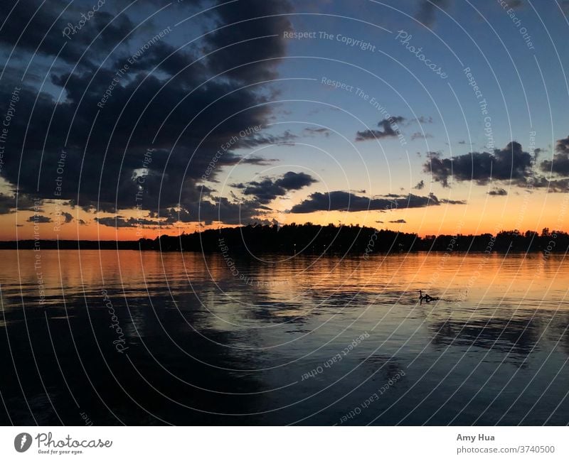 Simcoe-Landschaft in der Abenddämmerung Reflexion & Spiegelung Wasserspiegelung Wasseroberfläche See Windstille Umwelt Natur Seeufer See-Simcoe