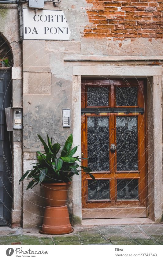 Architektur und Natur | Topfpflanze neben der Eingangstür eines Hauses in Venedigs Altstadt Tür Pflanze Wand Fassade Gebäude Mauerwerk grün Farbfleck alt