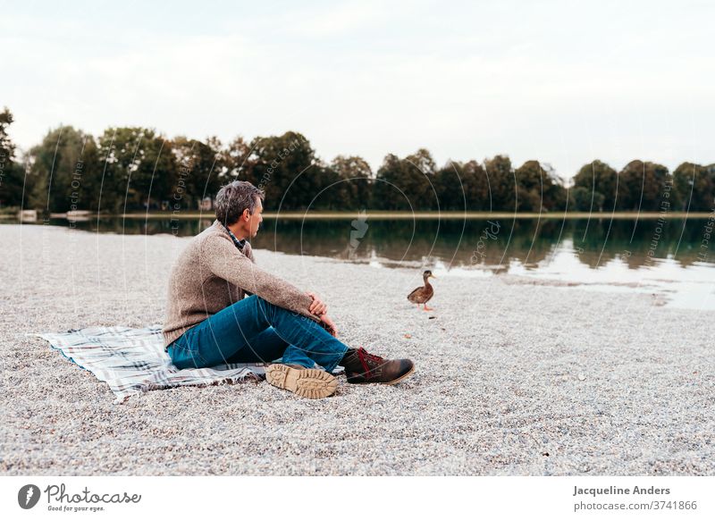 ein Mann sitzt am See im Herbst und beobachtet eine Ente Erwachsener einzeln sitzen see beobachten ente 1 Mensch Außenaufnahme Menschenleer Farbfoto Herbsttag