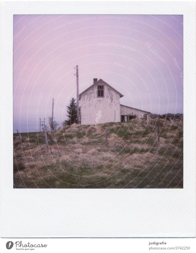 Polaroid eines isländischen Hauses Island Landschaft wohnen Einsamkeit Gebäude Außenaufnahme Menschenleer Farbfoto Hütte Wiese