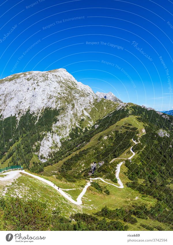 Blick vom Berg Jenner auf die Landschaft im Berchtesgadener Land Alpen Gebirge Bayern Baum Wald Weg Wanderweg Natur Wolken Himmel grün blau Urlaub Reise