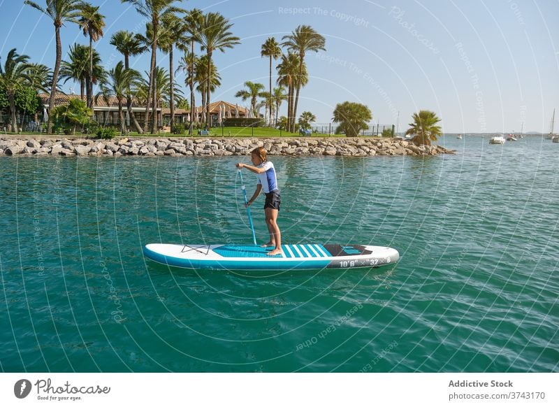 Junge stehend auf einem Paddel Surfbrett rudern vor einer Palme Strand Panorama sorgenfrei Teenager Mitfahrgelegenheit positionieren Reihe Gleichgewicht