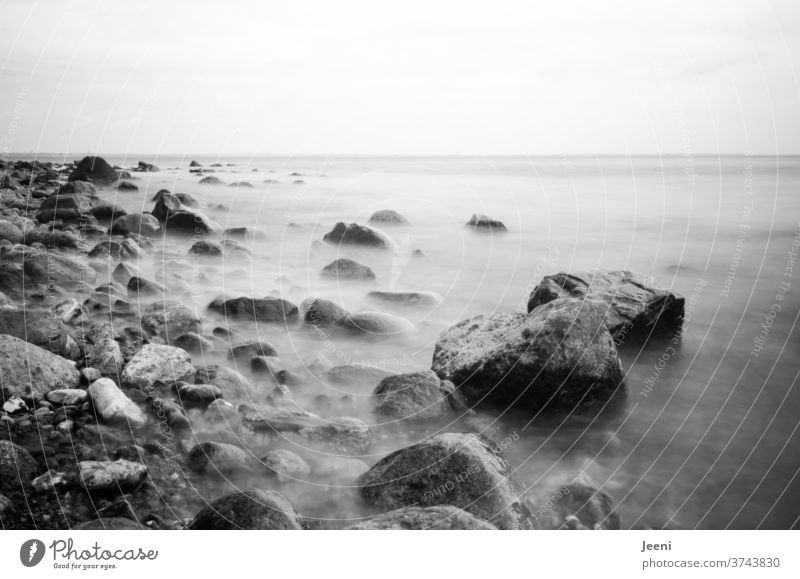 Steine im Meer Ostsee Ostseeküste Küste Wasser Strand Steinstrand Nebel Fels Felsen Traum träumen Ufer Urlaub geheimnissvoll mystisch Mystik Weite weit frei