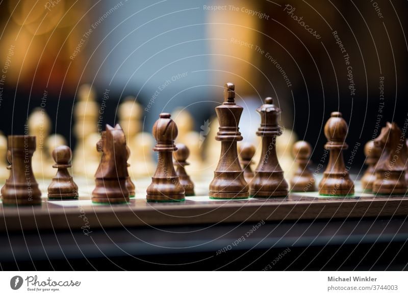 Schachbrett mit Schachfiguren und großer Tiefenschärfe Aktion Schlacht Läufer schwarz Holzplatte Business Herausforderung Konkurrenz Konzepte Konflikt