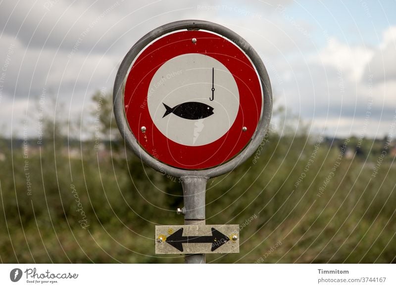 Hinweisschild - Fische einfach in Ruhe lassen! Verbotsschild angeln Schilder & Markierungen Verbote Außenaufnahme Menschenleer rot weiß Himmel Wolken