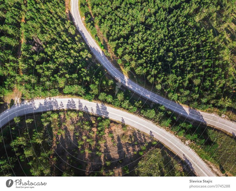 Luftaufnahme von Bergstraßen zwischen Kiefernwäldern im Spätsommer oben Antenne Asphalt Hintergrund Botanik Ast farbenfroh Land Erde Öko Ökologie Umwelt Europa